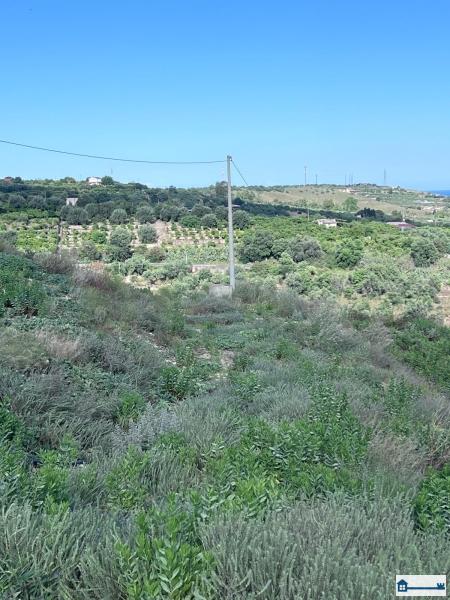 PHOTO-2025-07-09-11-42-40 (10).jpg